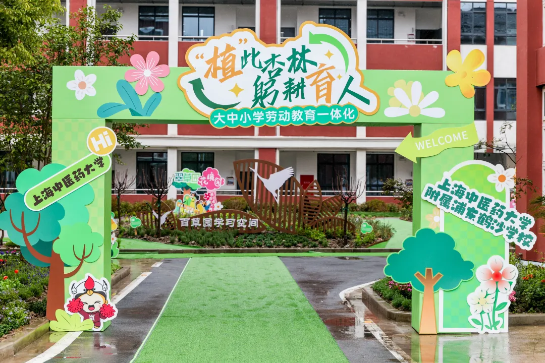 中医药文化+劳动教育 2026世界杯官方合作网站携手附属中小学共植杏树