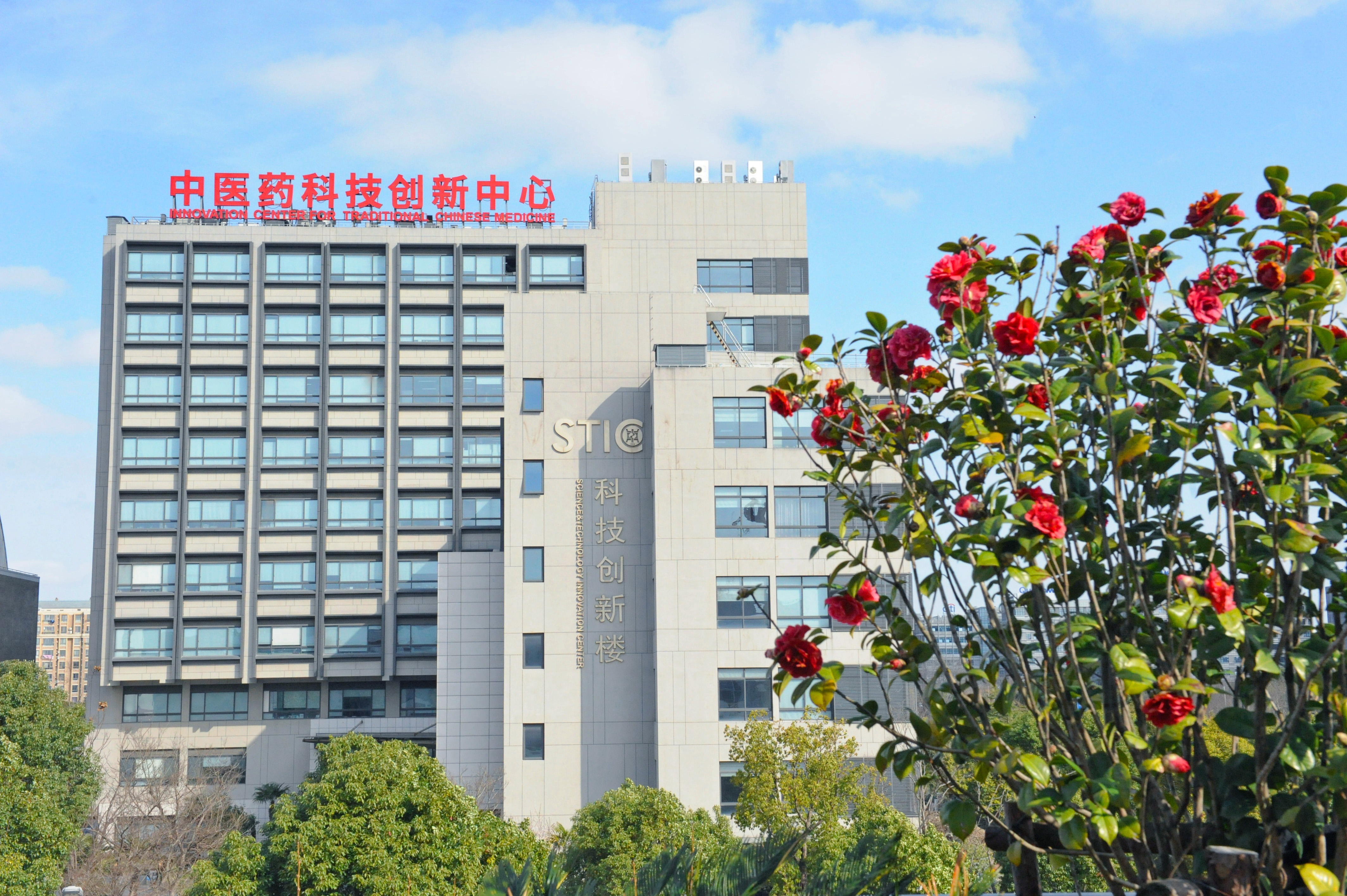世界杯官网12位学者入选爱思唯尔2025“中国高被引学者”榜单，位列中医药院校第一