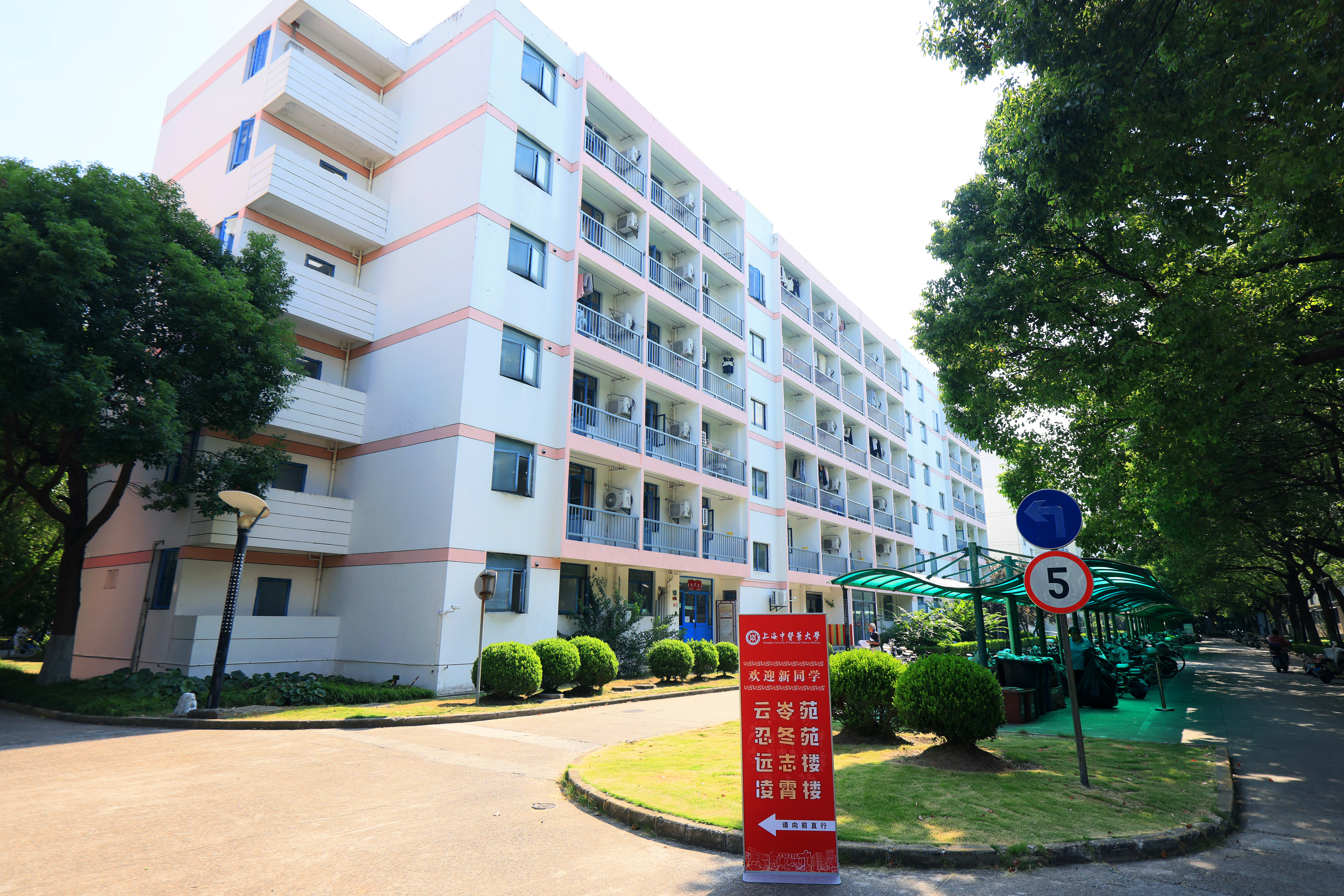 提质改造惠师生 张江生活园区管网改造项目竣工