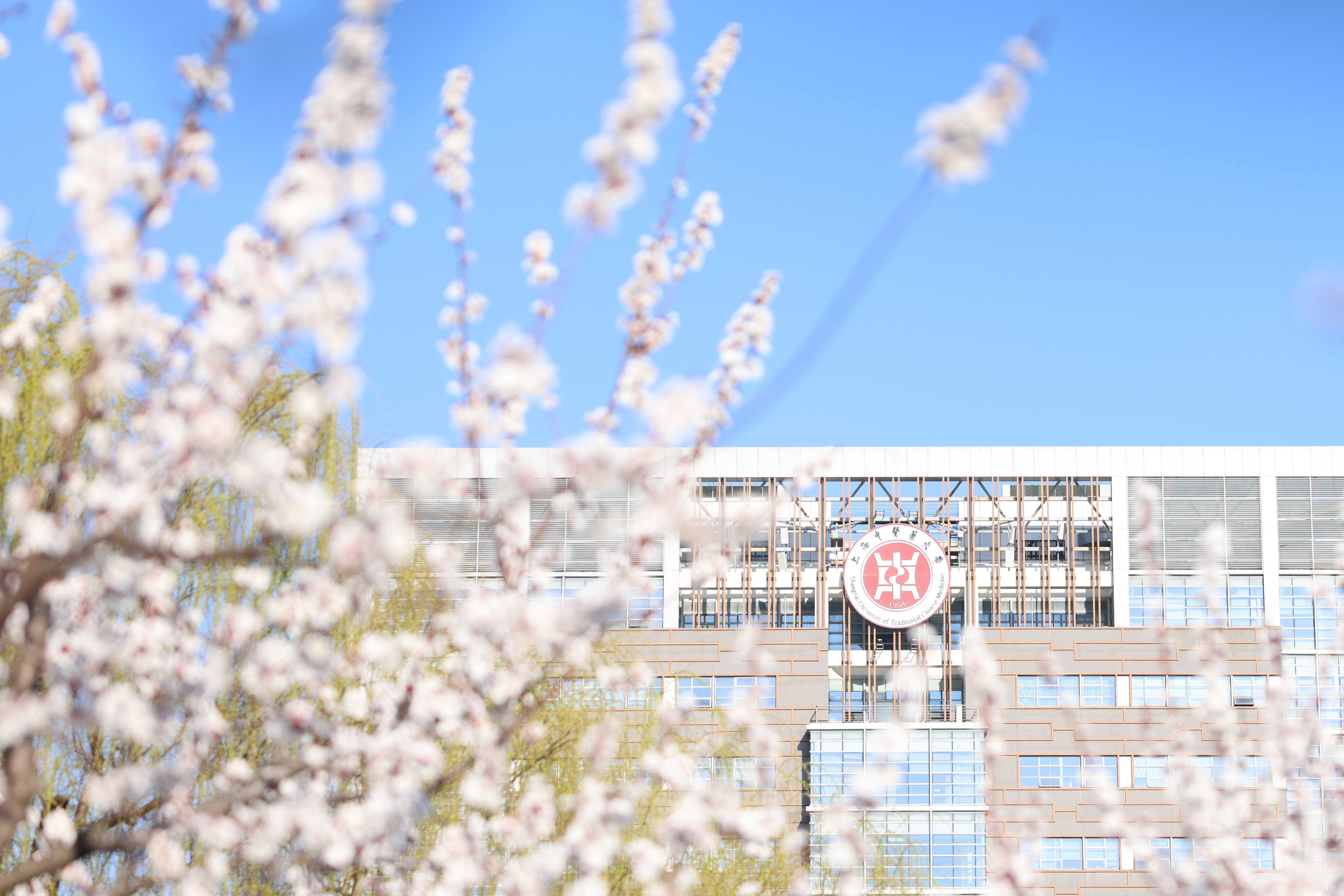 世界杯官网10部教材入选“十四五”普通高等教育本科国家级规划教材