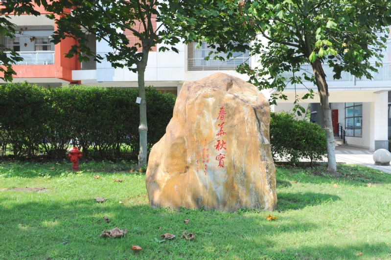 校园风景